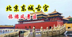 骚大鸡巴网站中国北京-东城古宫旅游风景区